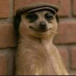 Profile photo of memes_by001